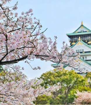 Osaka imagem do destino